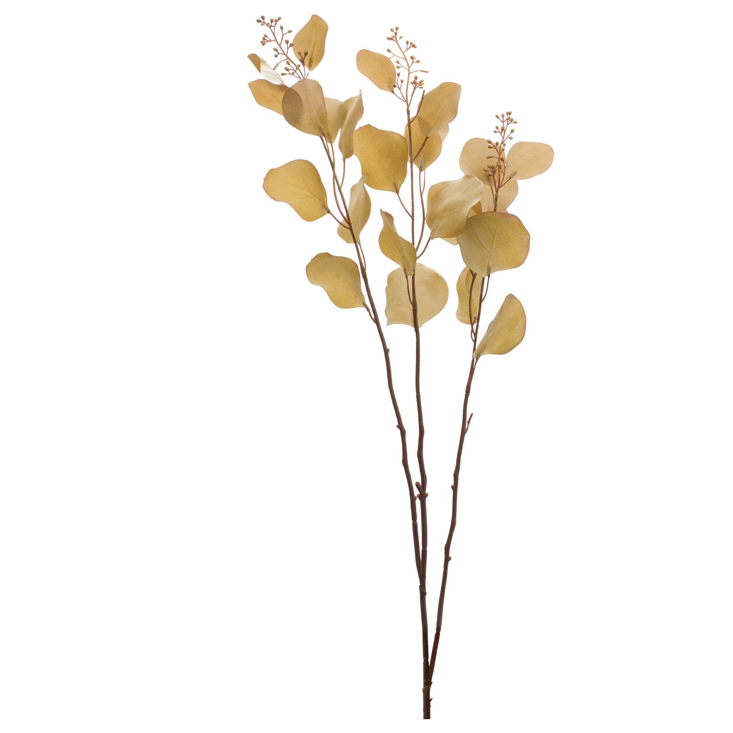 Seeded Eucalyptus Stem Set of 6