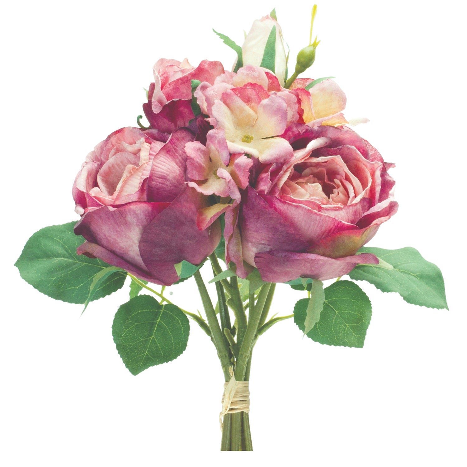 Rose Bundle Set of 6