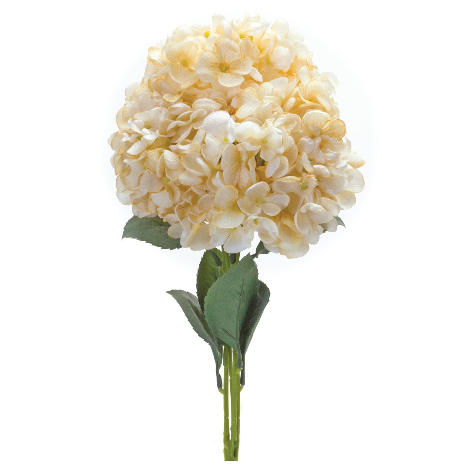 Hydrangea Bush Set of 2