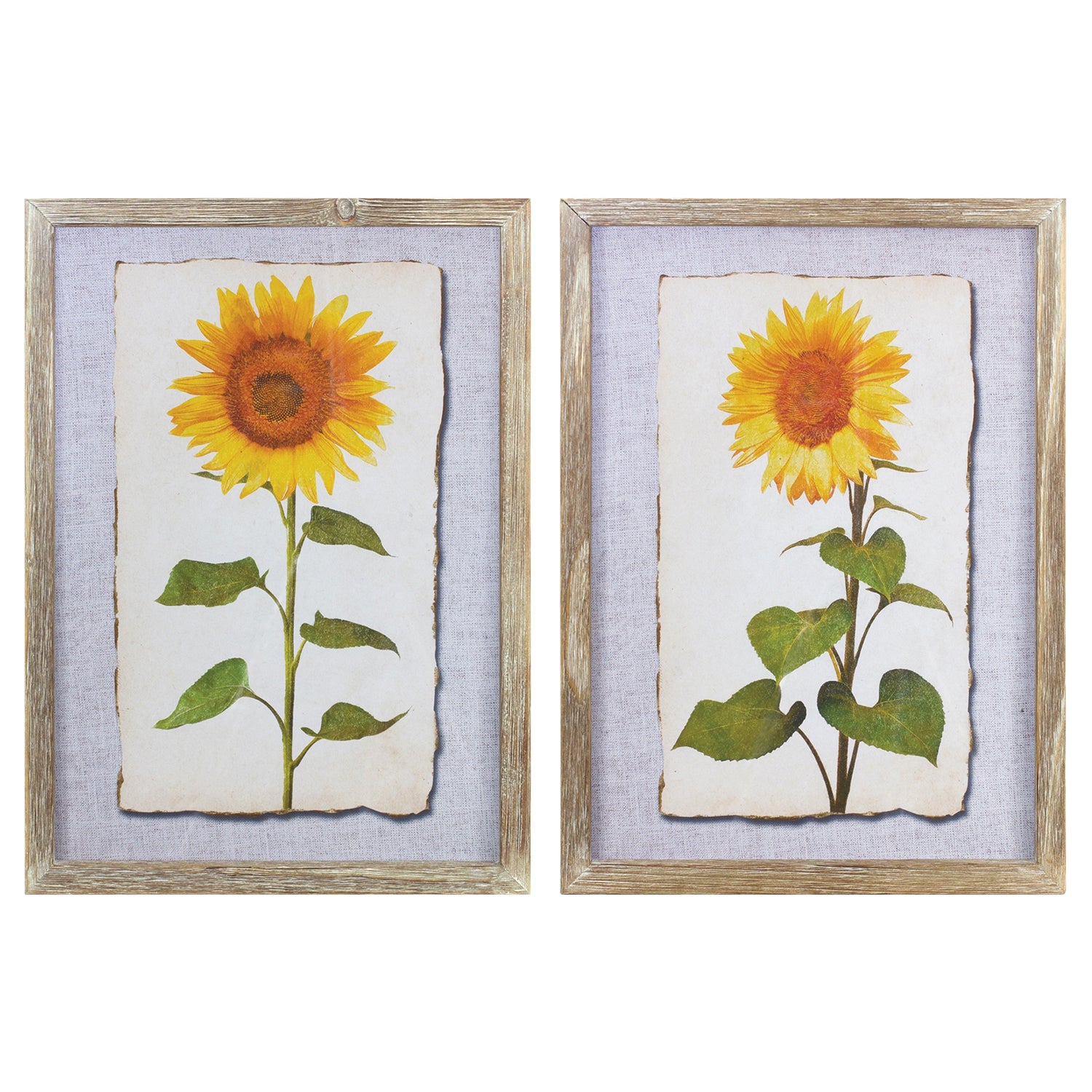 Framed Sunflower Print Set of 2