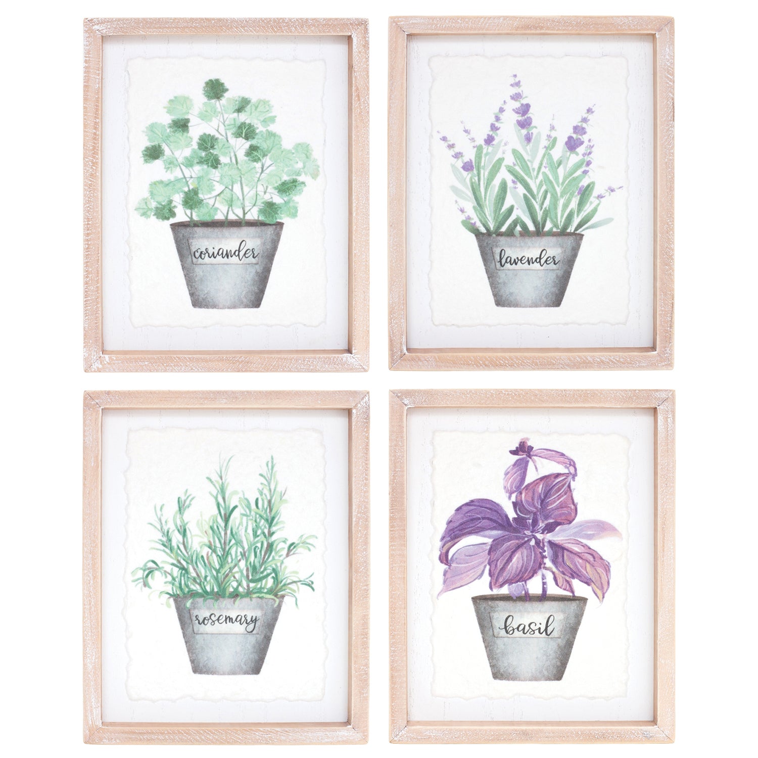 Framed Watercolor Herb Print Set of 4