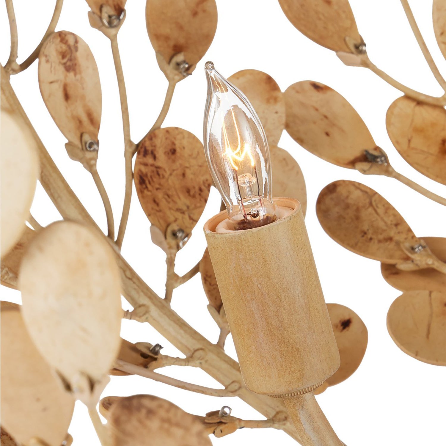 Currey & Co Maypan Chandelier