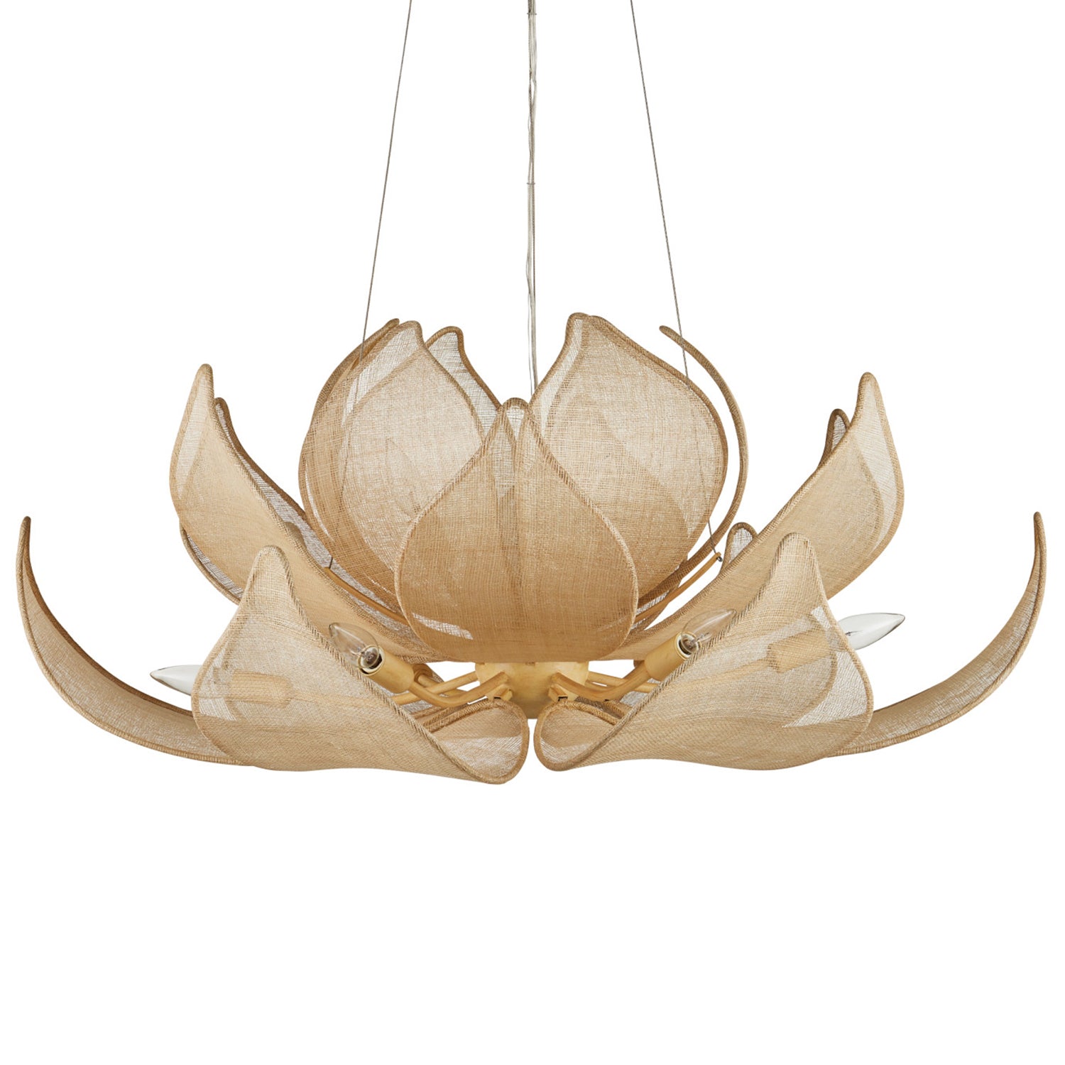 Currey & Co Oblivion Chandelier