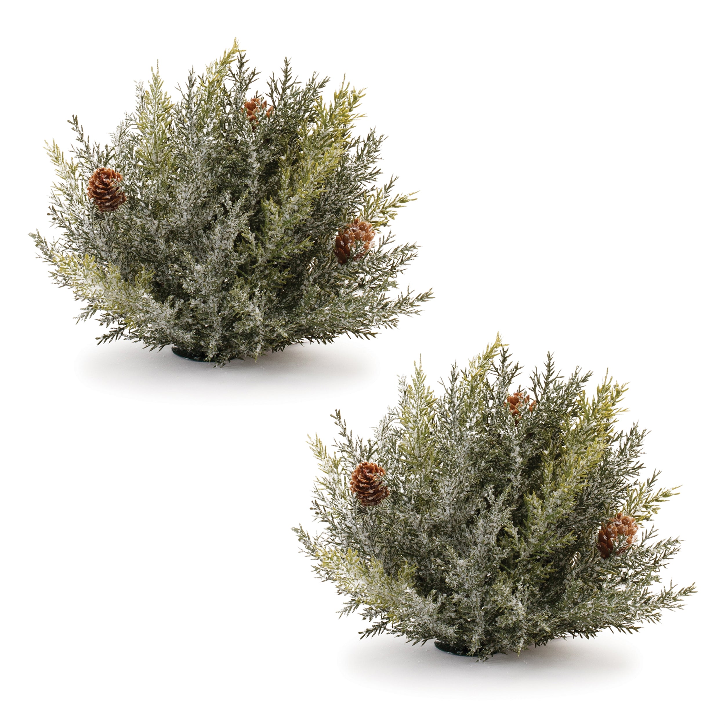 Icy Pine Half Orb Set of 2