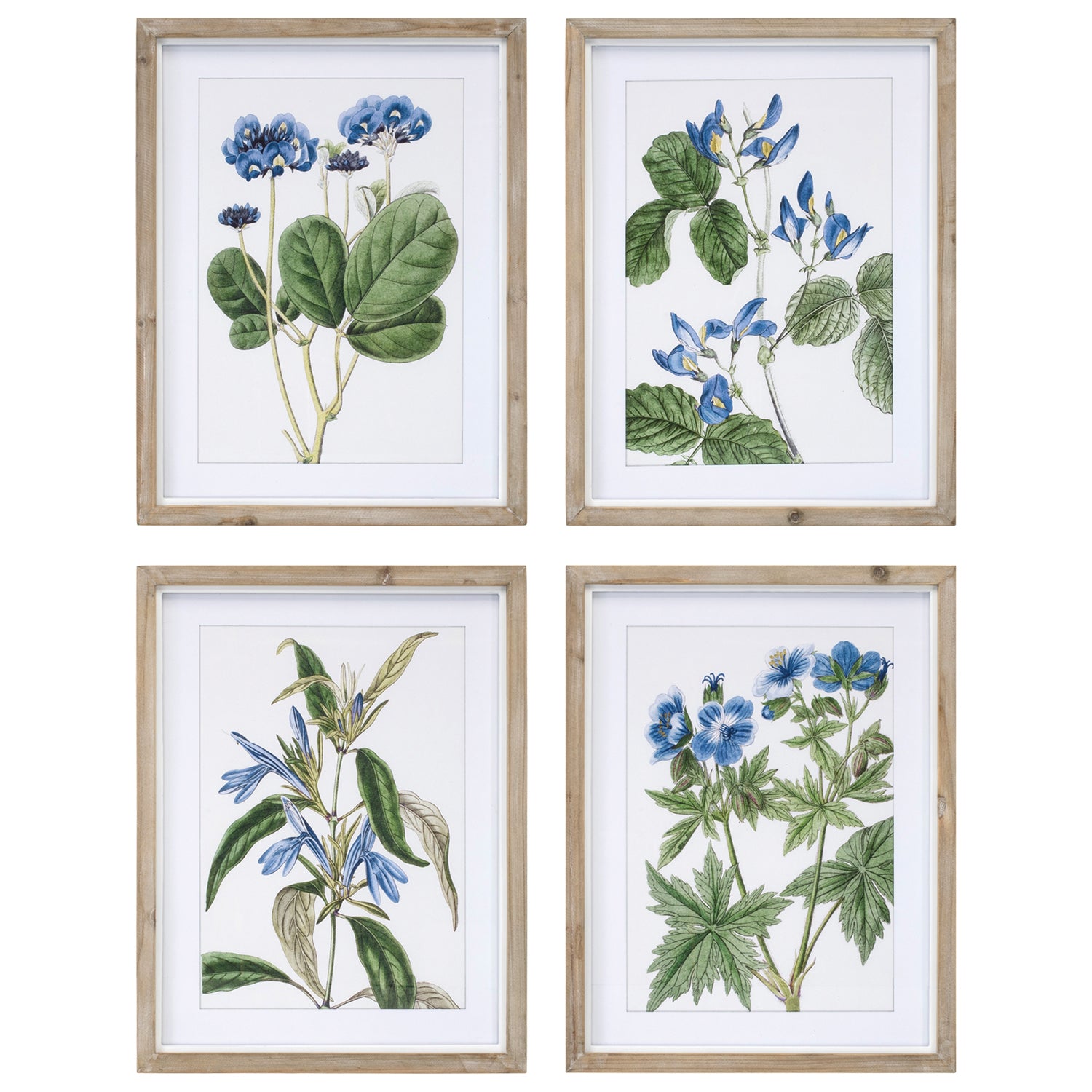 Wood Framed Floral Print Set of 4