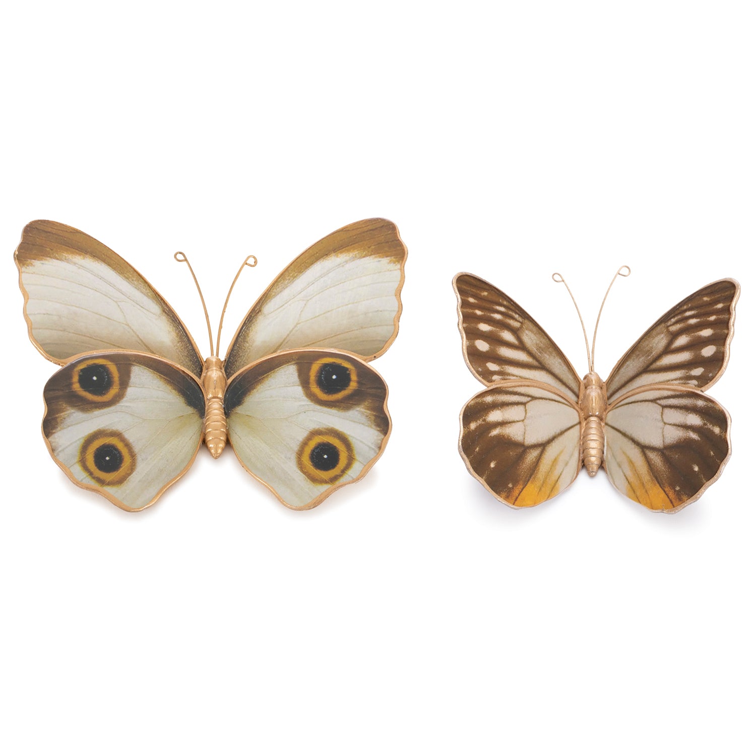 Amber Butterfly and Moth Shelf Sitter Set of 2