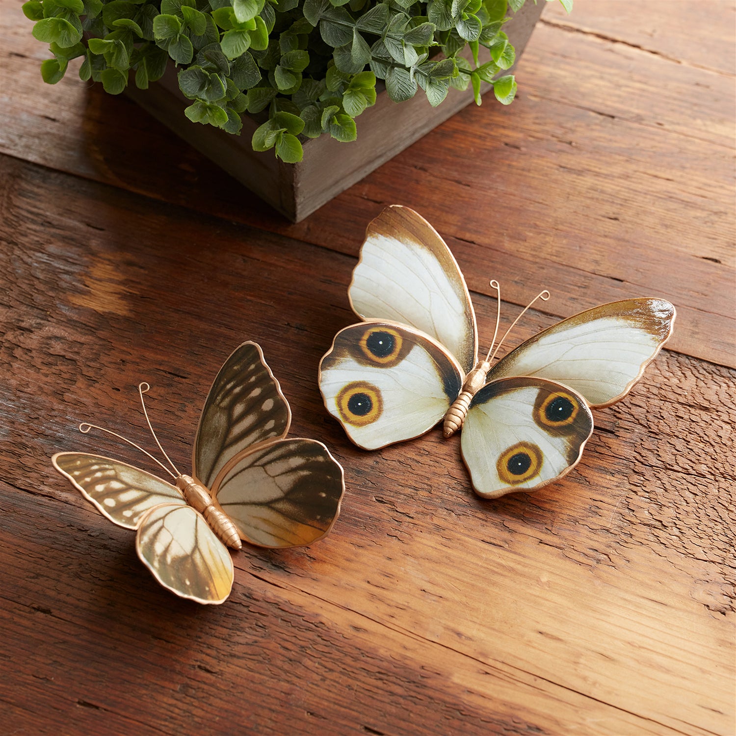 Amber Butterfly and Moth Shelf Sitter Set of 2