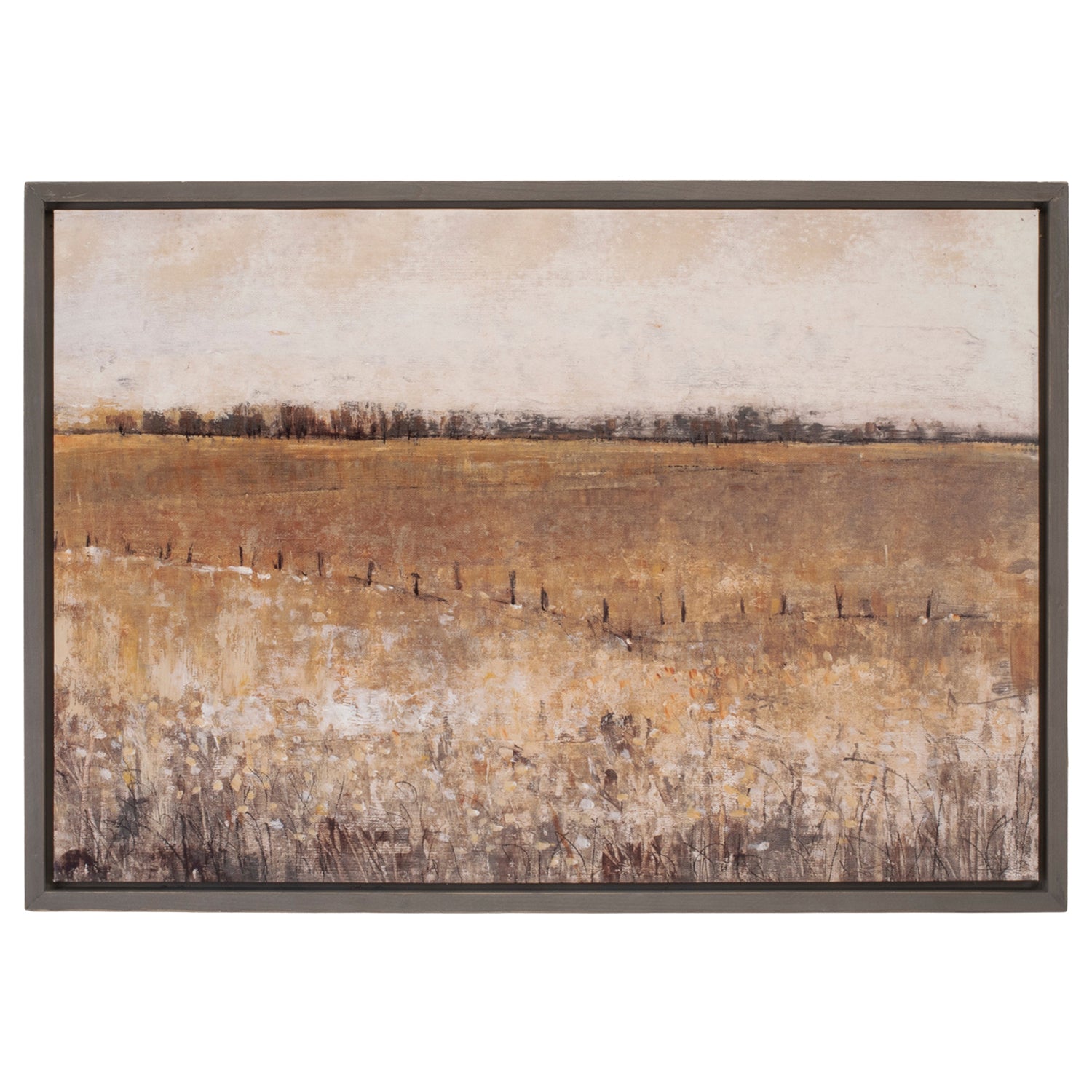 Framed Landscape Canvas Art