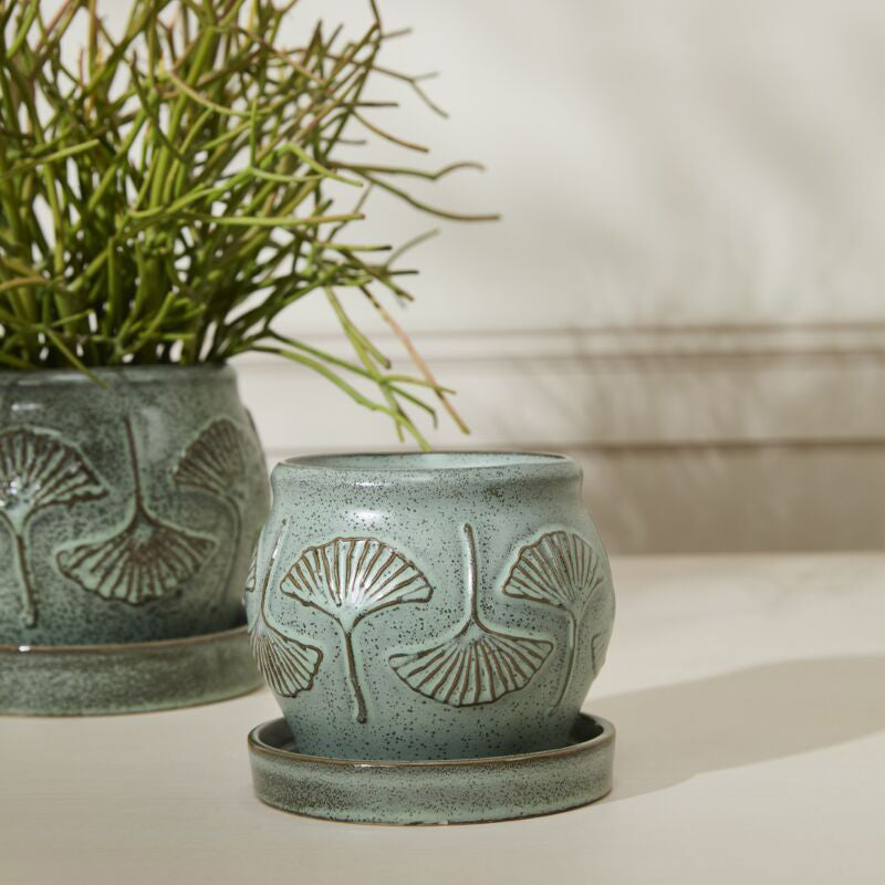 Biloba Pot with Saucer