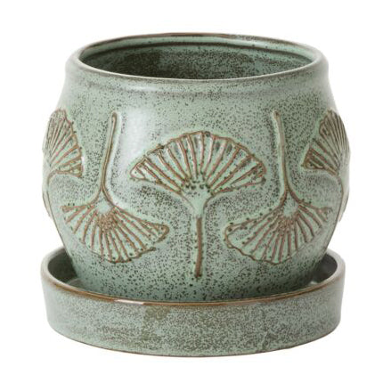 Biloba Pot with Saucer