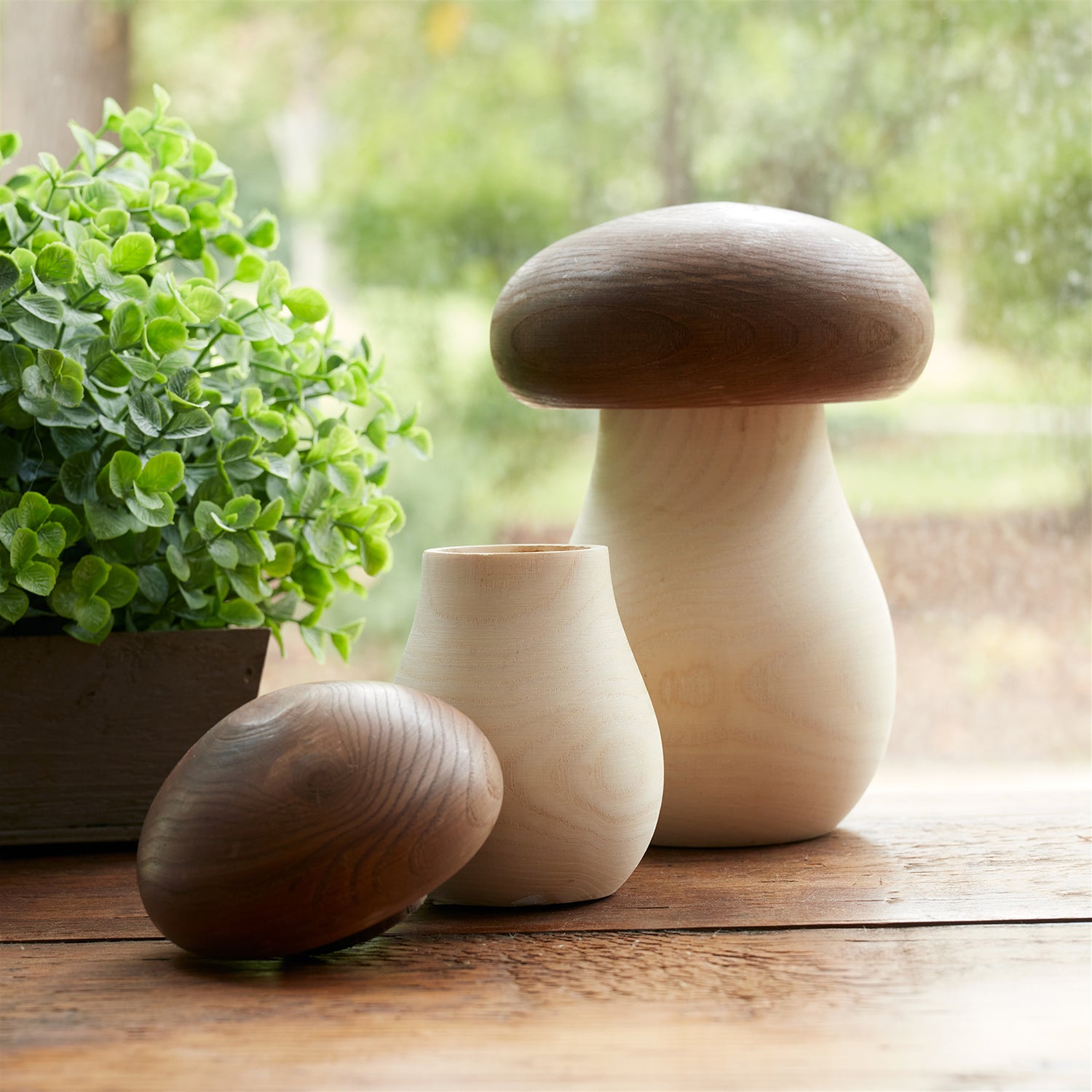 Wood Mushroom Box Decor Set of 2