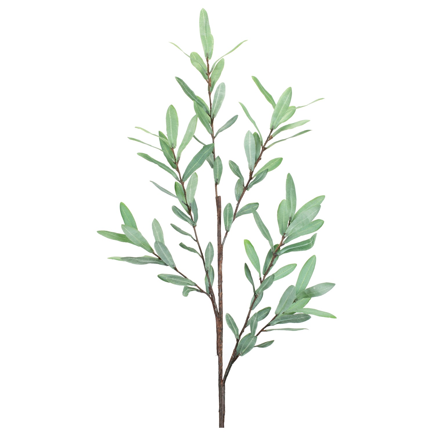 Olive Leaf Twig Branch Set of 2
