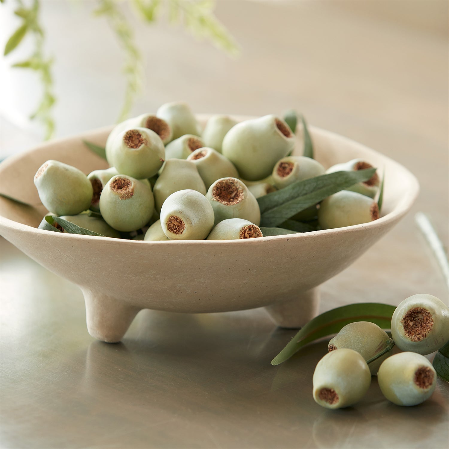 Pod Foliage Bundle Set of 2