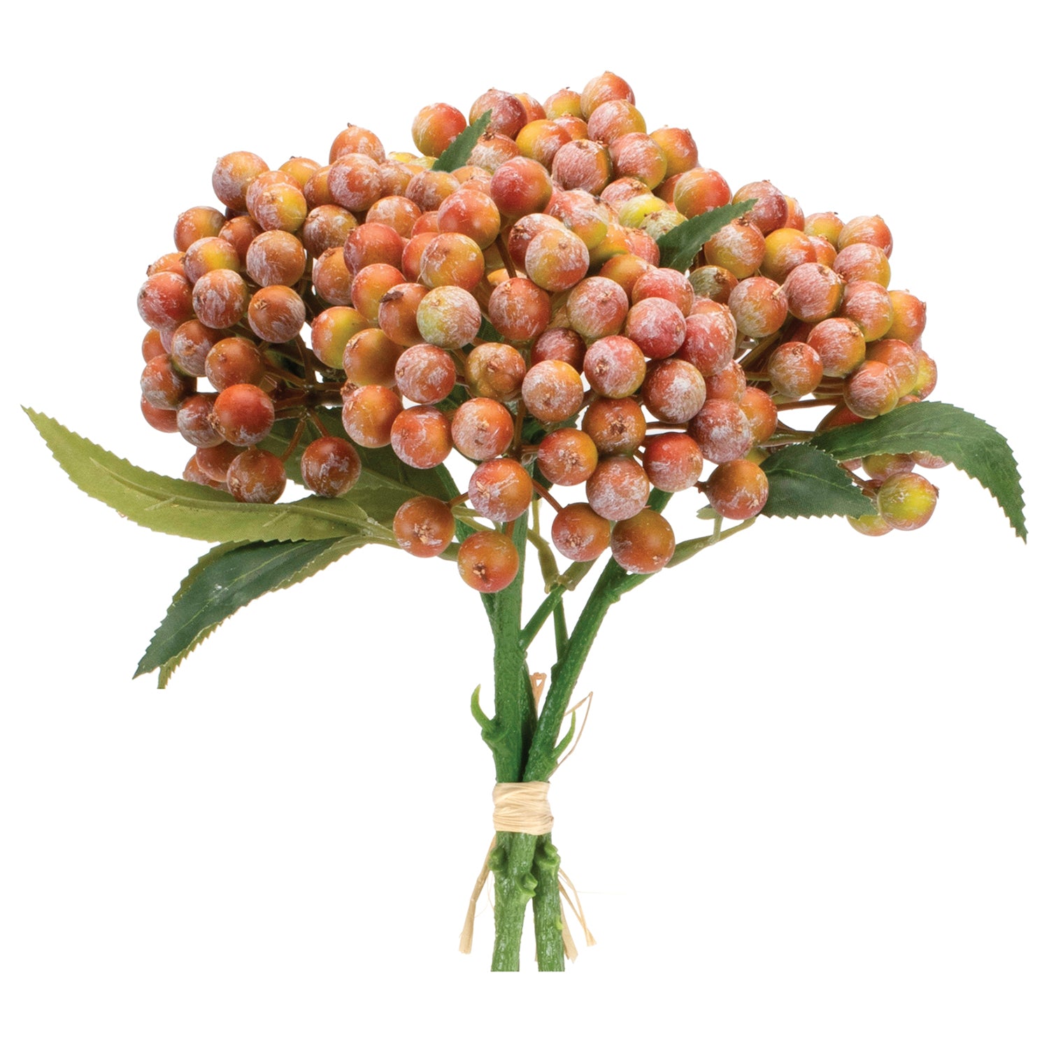 Orange Berry Bundle Set of 2