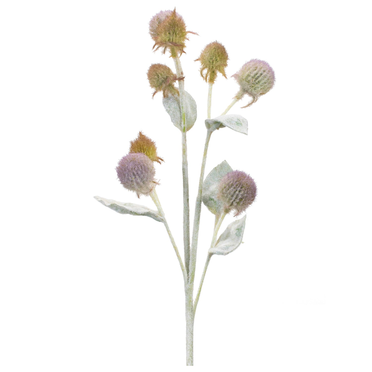Thistle Foliage Spray Set of 6