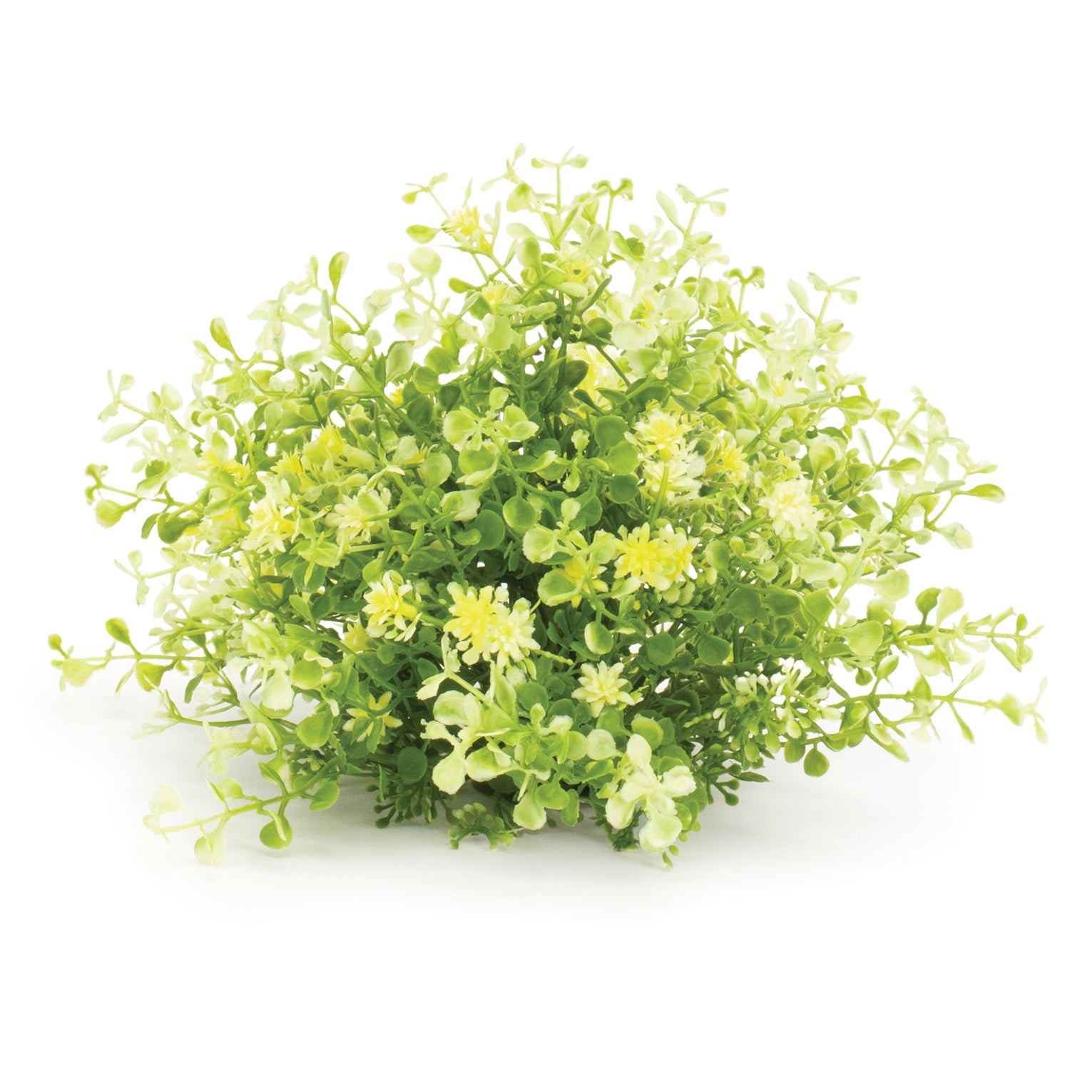 Mini Leaf Foliage Half Orb Set of 2