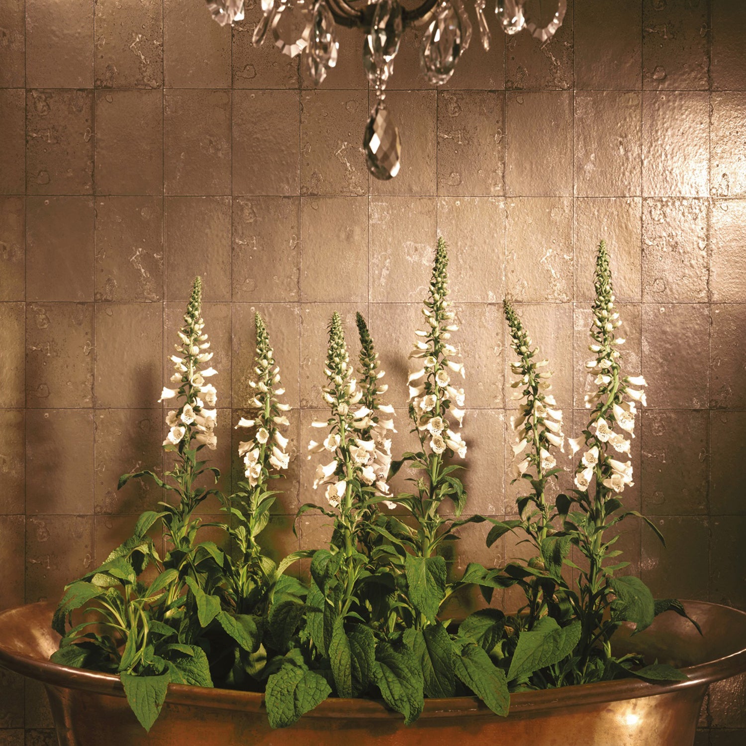 Cole & Son Foundation Antique Mirror Wallpaper