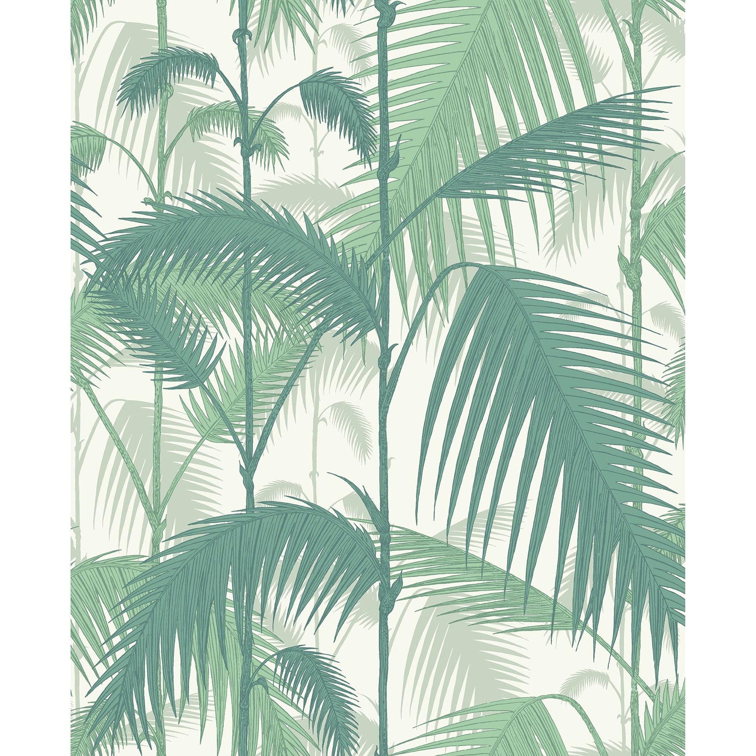 Cole & Son Contemporary Restyled Palm Jungle Wallpaper
