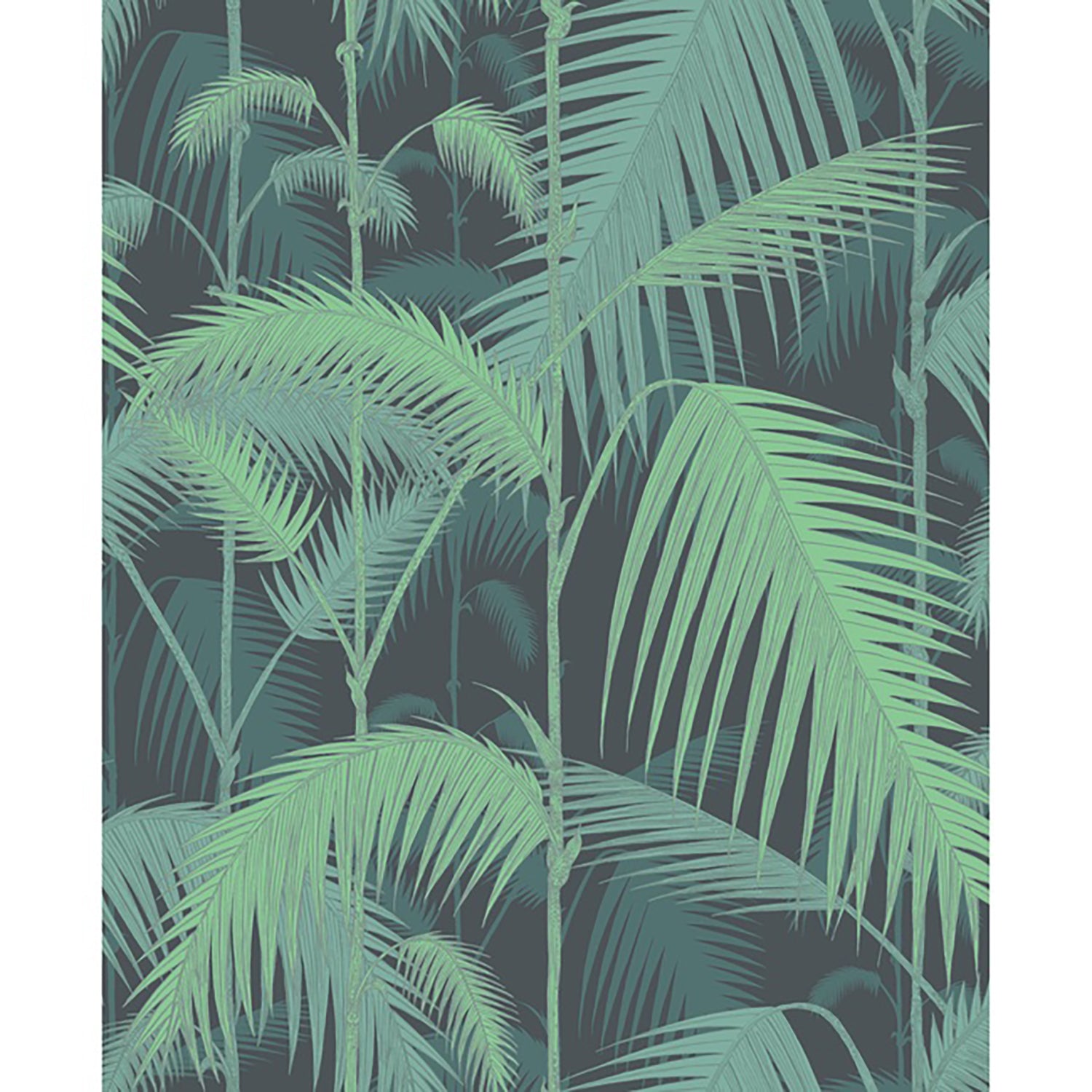 Cole & Son Contemporary Restyled Palm Jungle Wallpaper