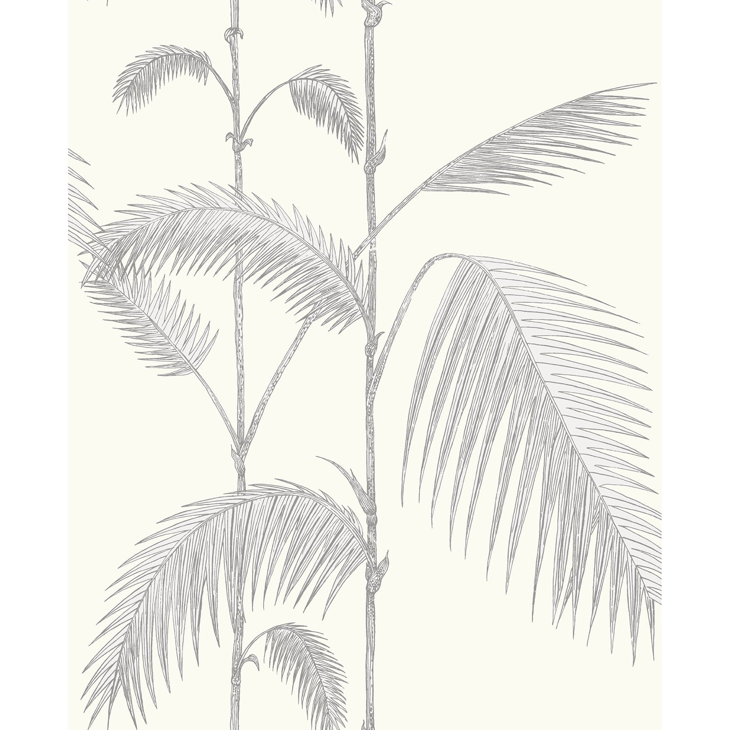 Cole & Son Contemporary Restyled Palm Jungle Wallpaper