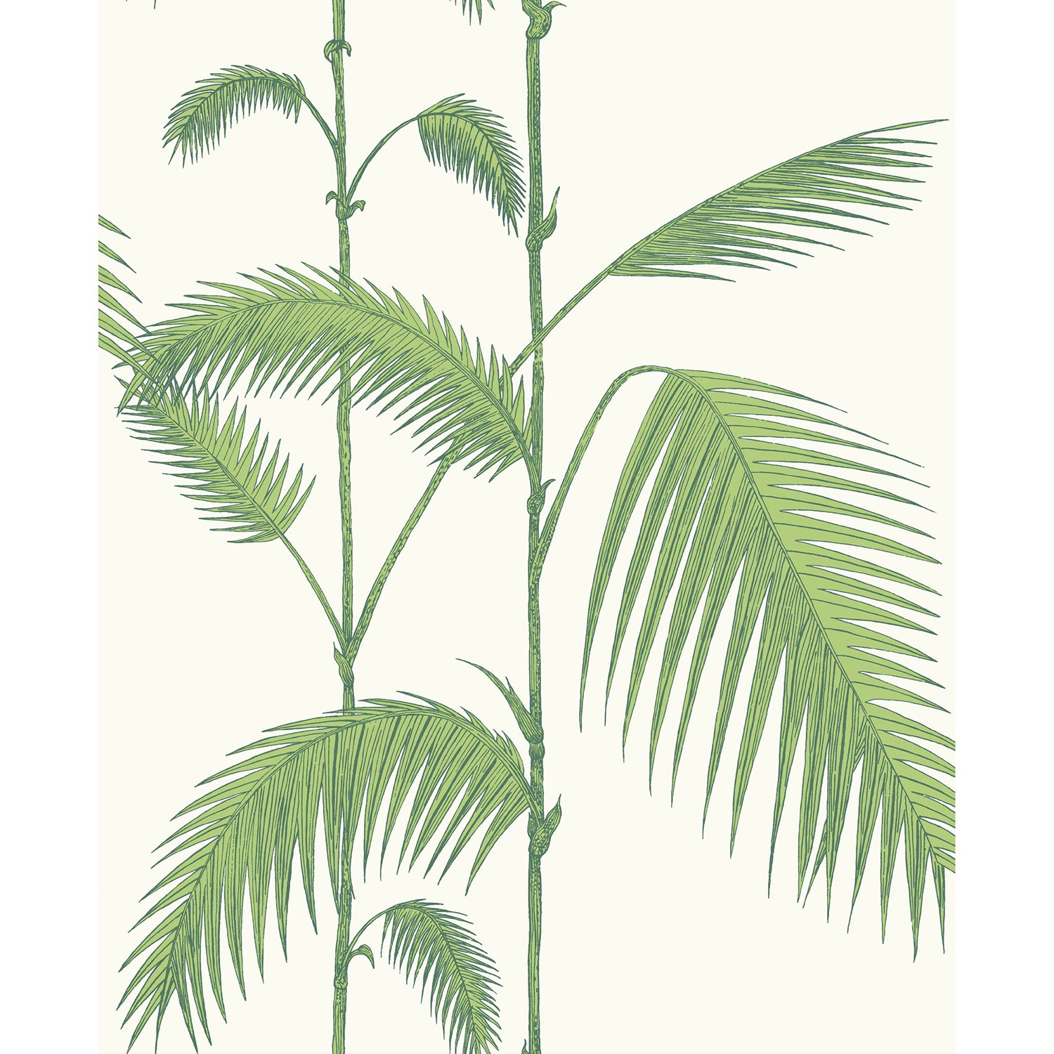 Cole & Son Contemporary Restyled Palm Jungle Wallpaper