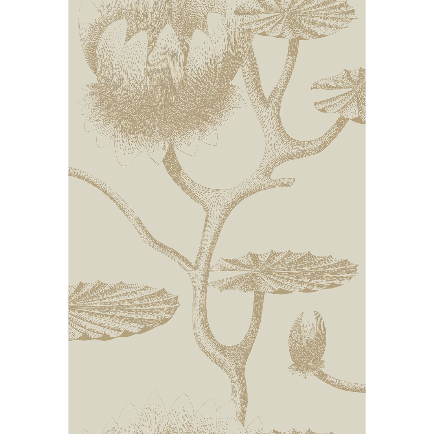 Cole & Son New Contemporary Restyled Lily Wallpaper