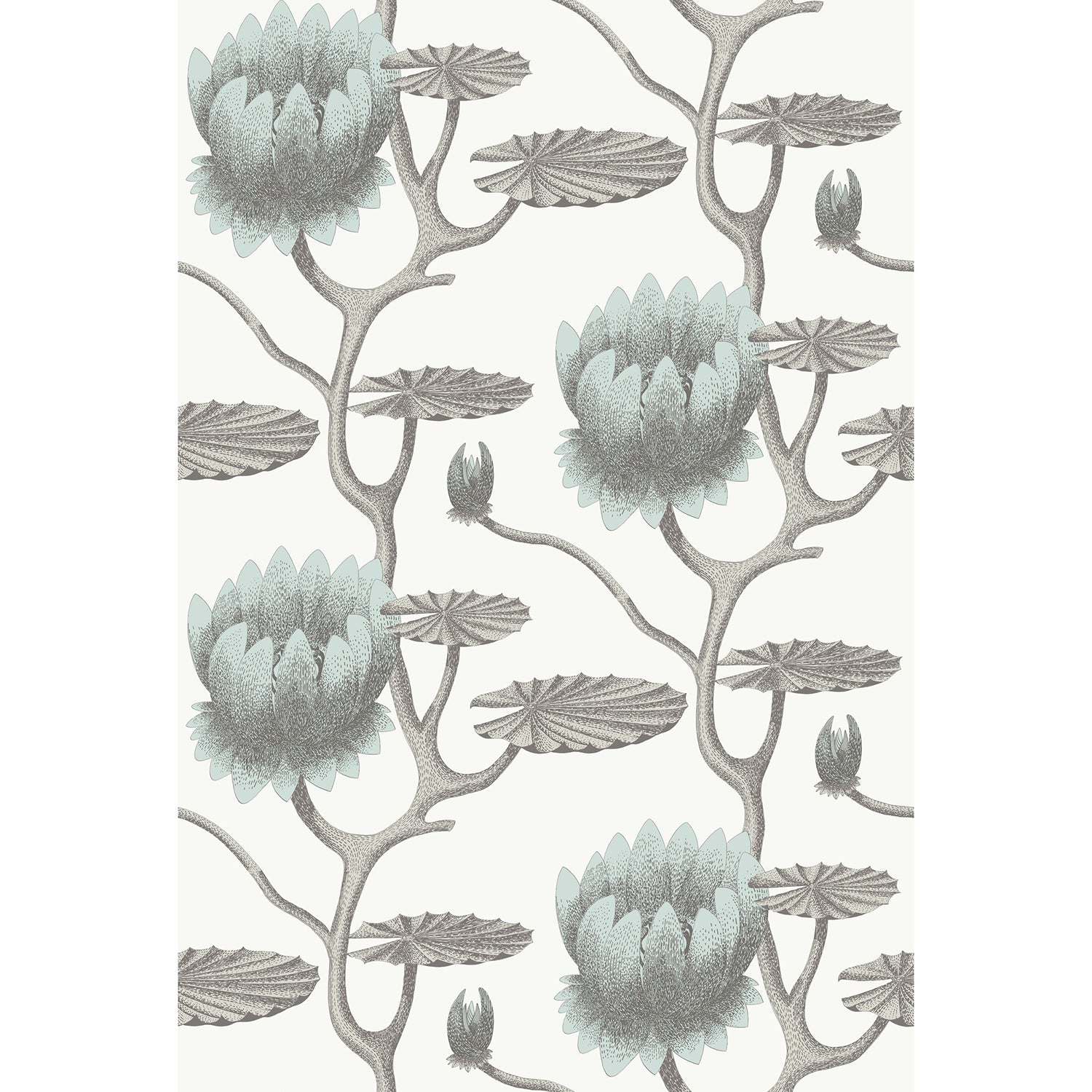 Cole & Son Contemporary Restyled Summer Lily Wallpaper