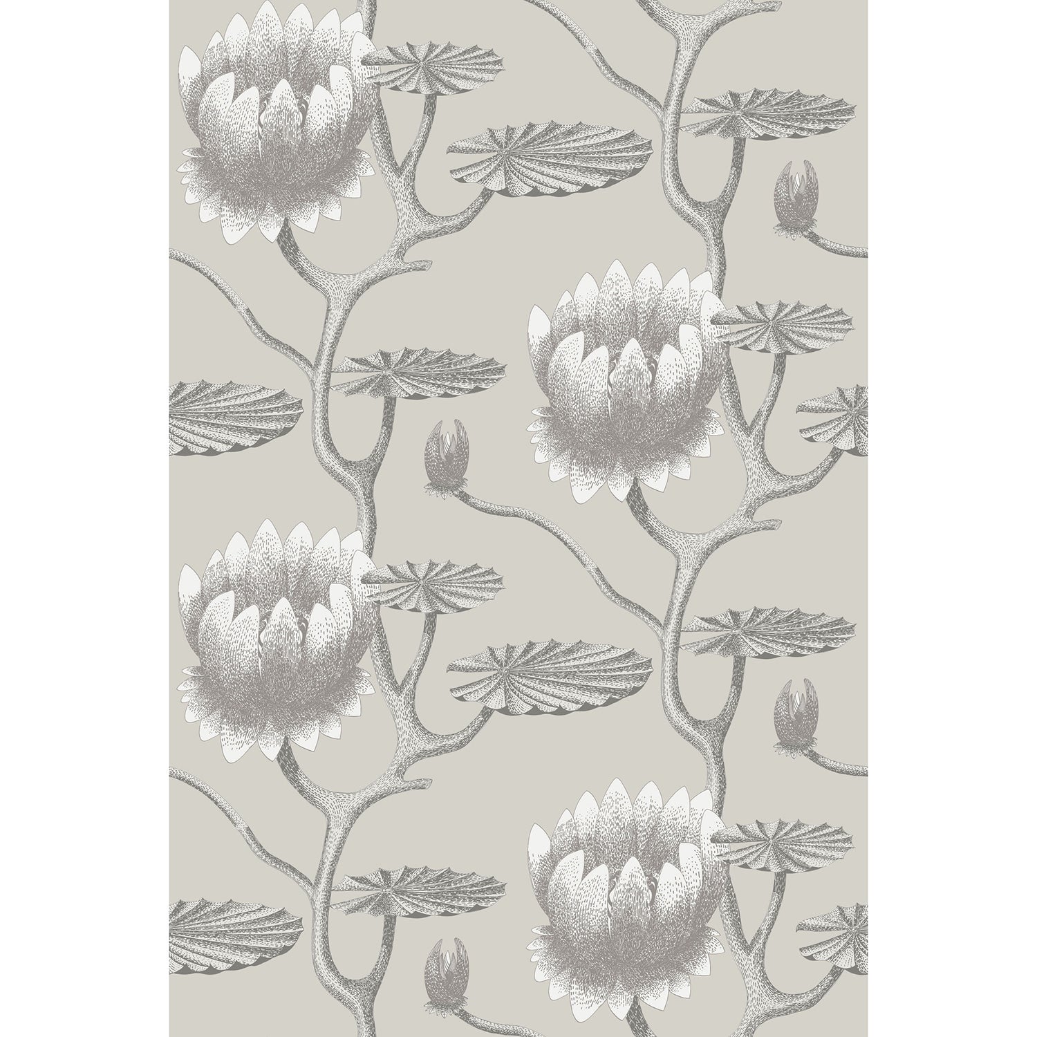 Cole & Son Contemporary Restyled Summer Lily Wallpaper