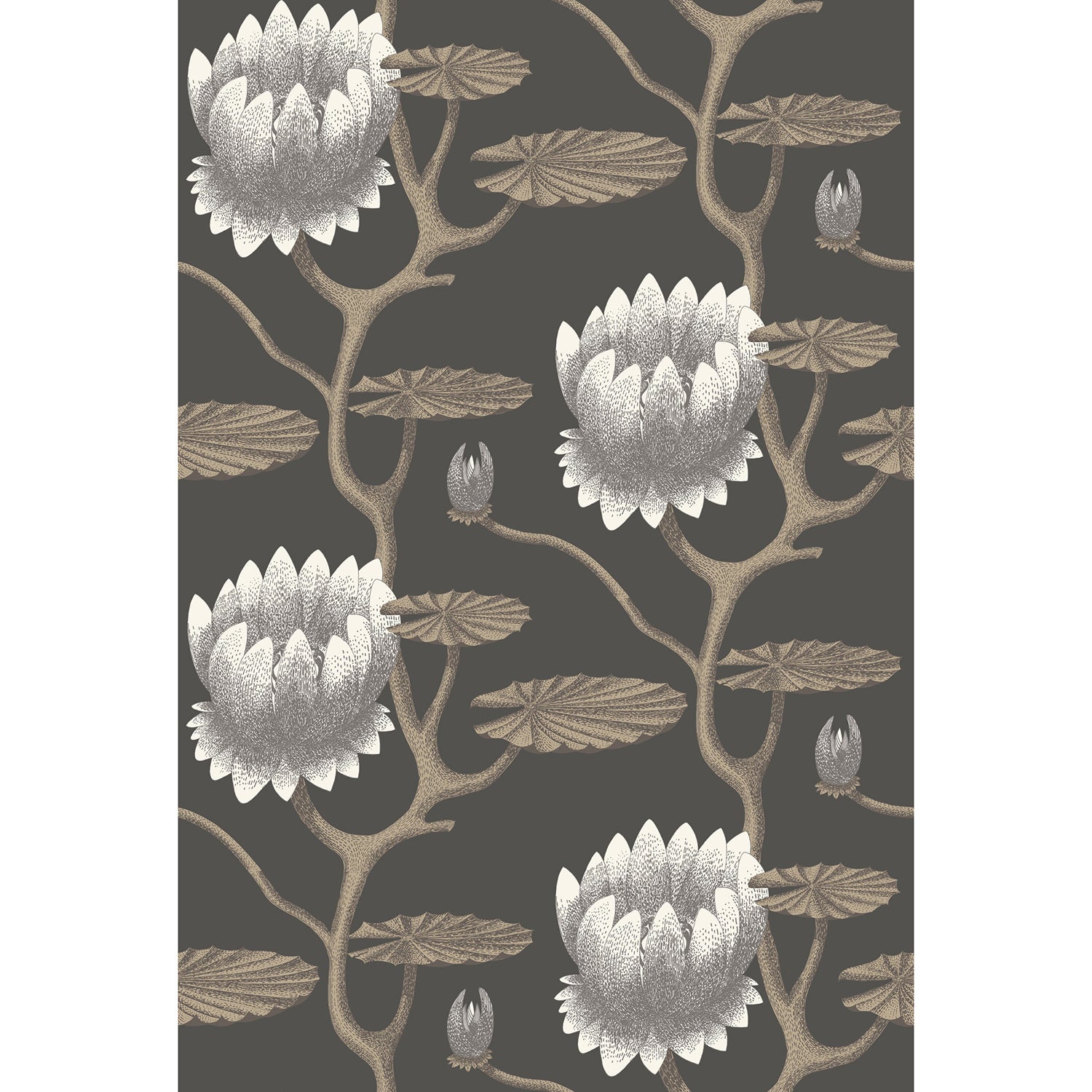 Cole & Son Contemporary Restyled Summer Lily Wallpaper