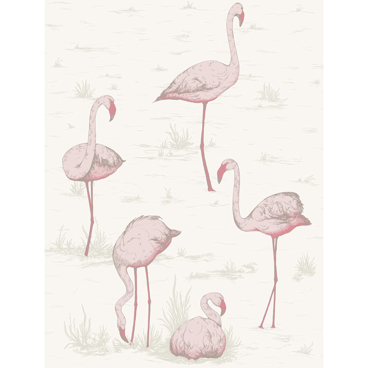Cole & Son Contemporary Restyled Flamingos Wallpaper