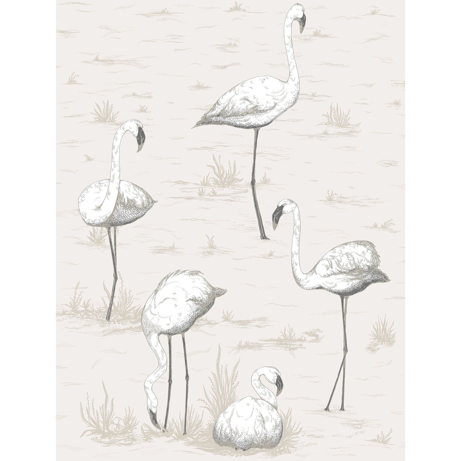 Cole & Son Contemporary Restyled Flamingos Wallpaper