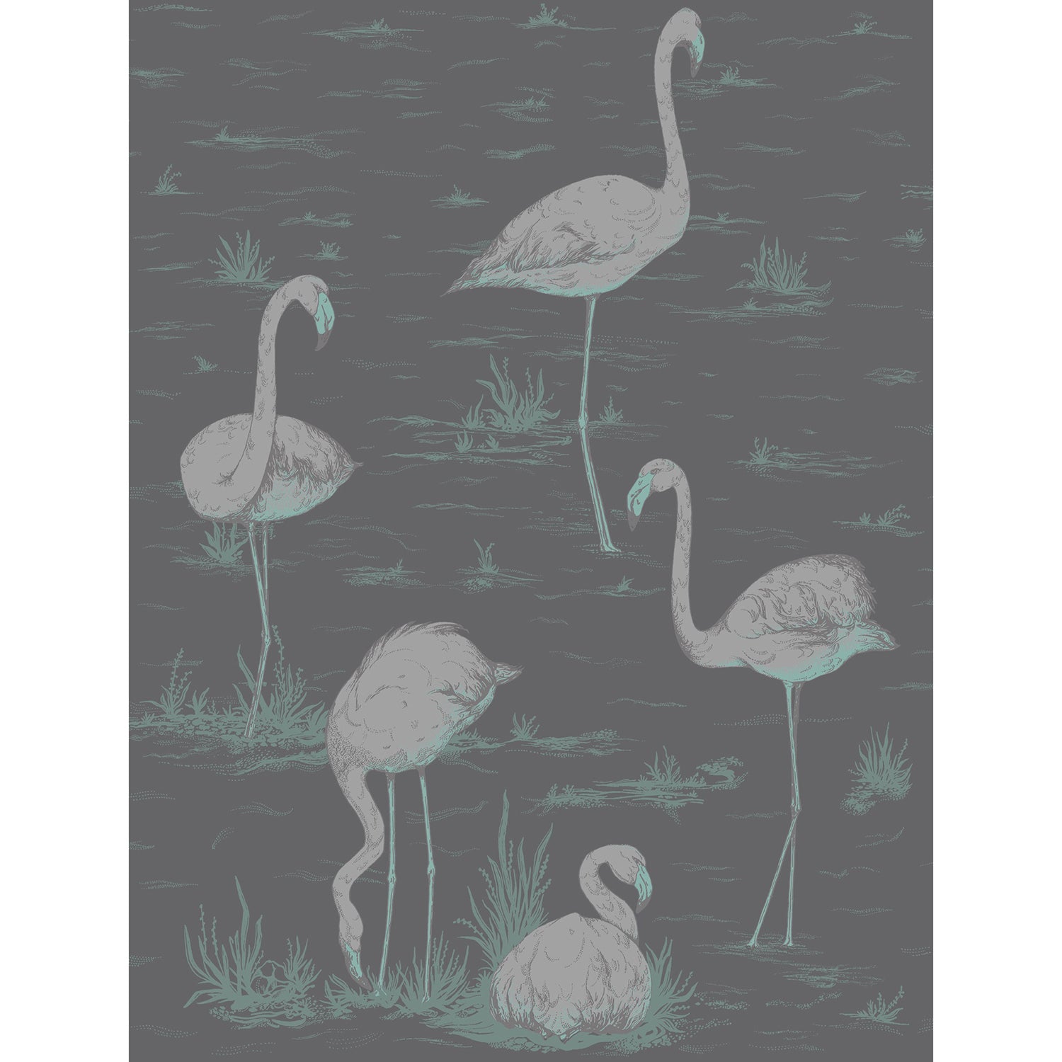 Cole & Son Contemporary Restyled Flamingos Wallpaper