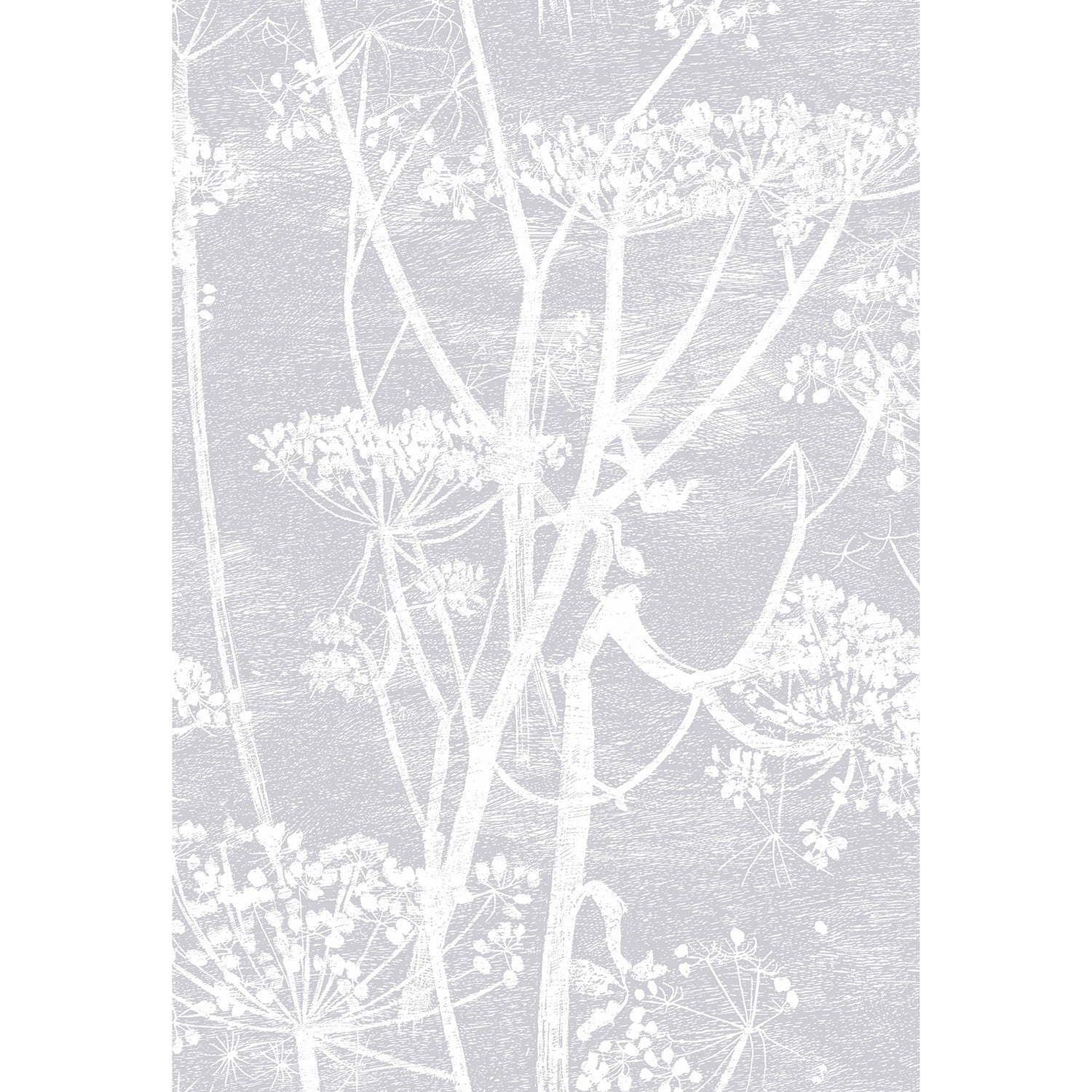 Cole & Son Contemporary Restyled Cow Parsley Wallpaper