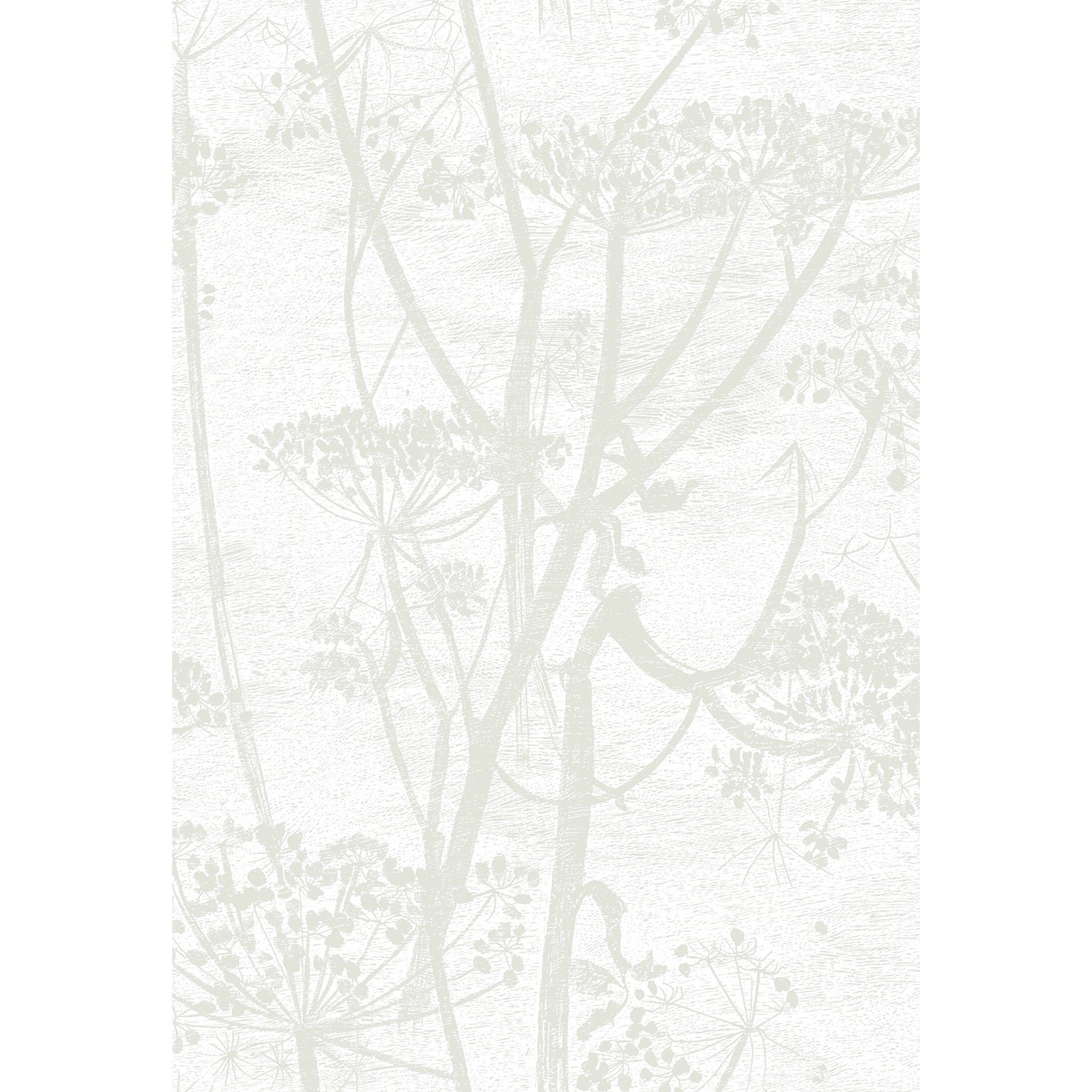Cole & Son Contemporary Restyled Cow Parsley Wallpaper