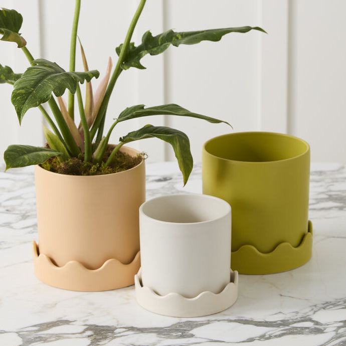 Pissaro Pot with Saucer Set of 2