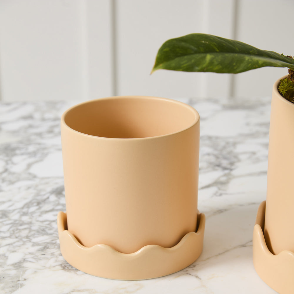 Pissaro Pot with Saucer Set of 2