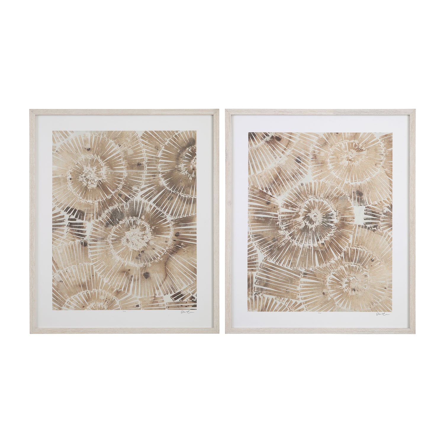 Bassett Mirror Fossil Nautilus Framed Print Set of 2