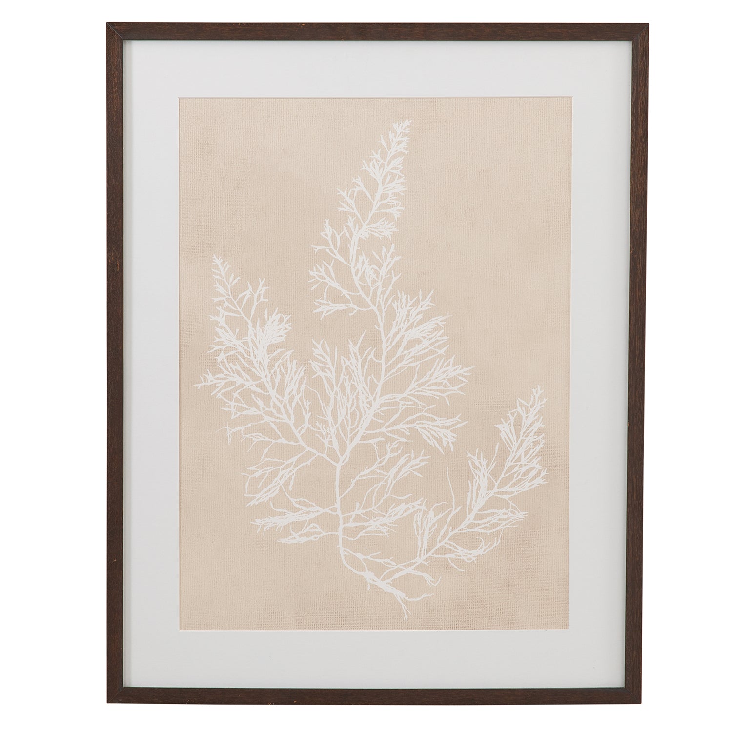Bassett Mirror Cystoseira Faeniculacea Framed Artwork