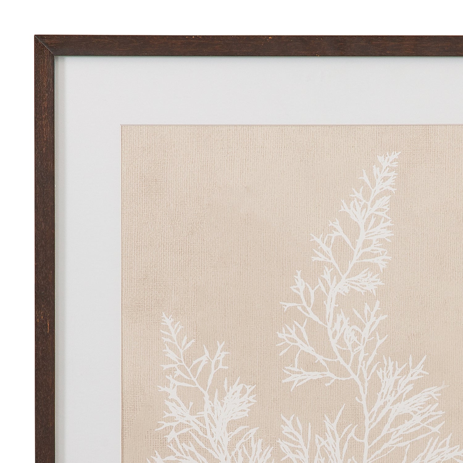 Bassett Mirror Cystoseira Faeniculacea Framed Artwork