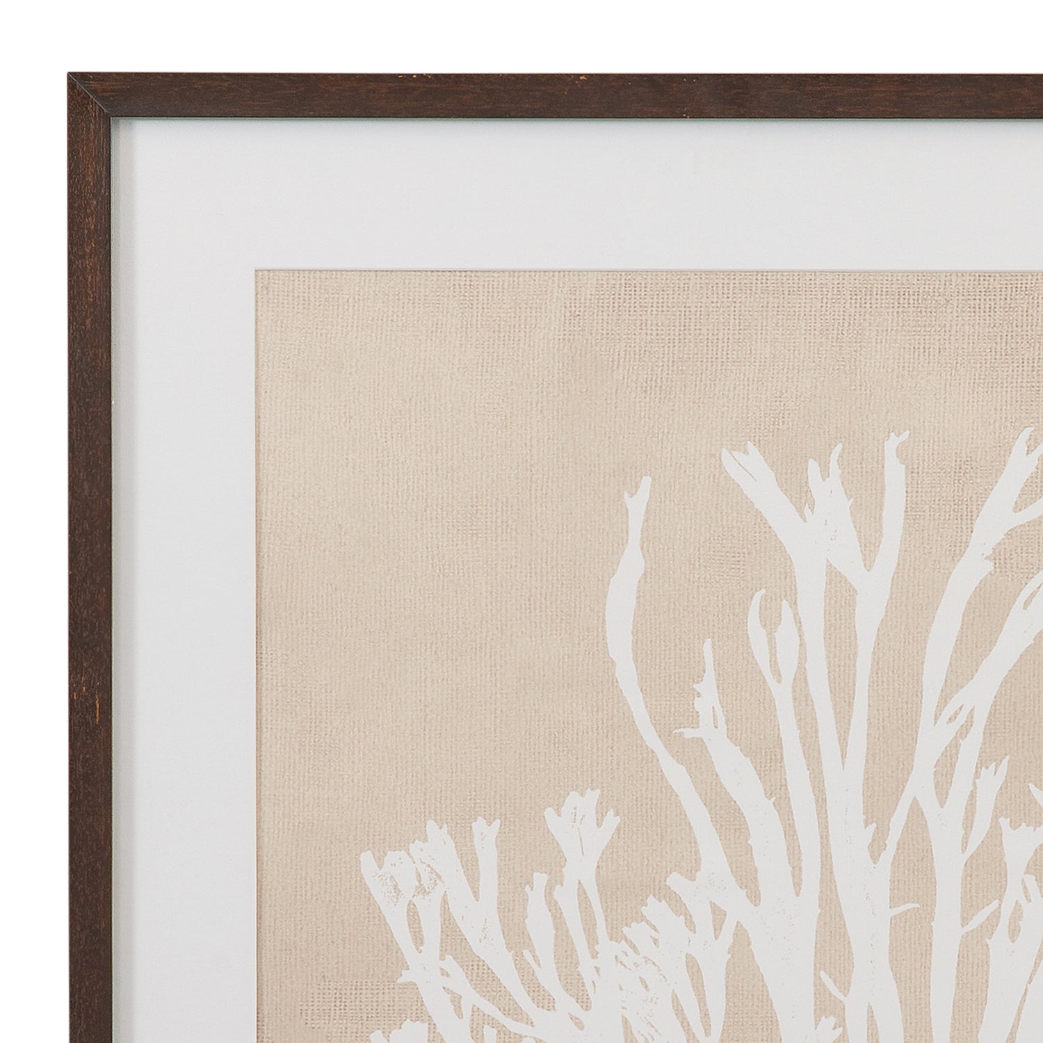 Bassett Mirror Gracilaria Multipartita Framed Artwork