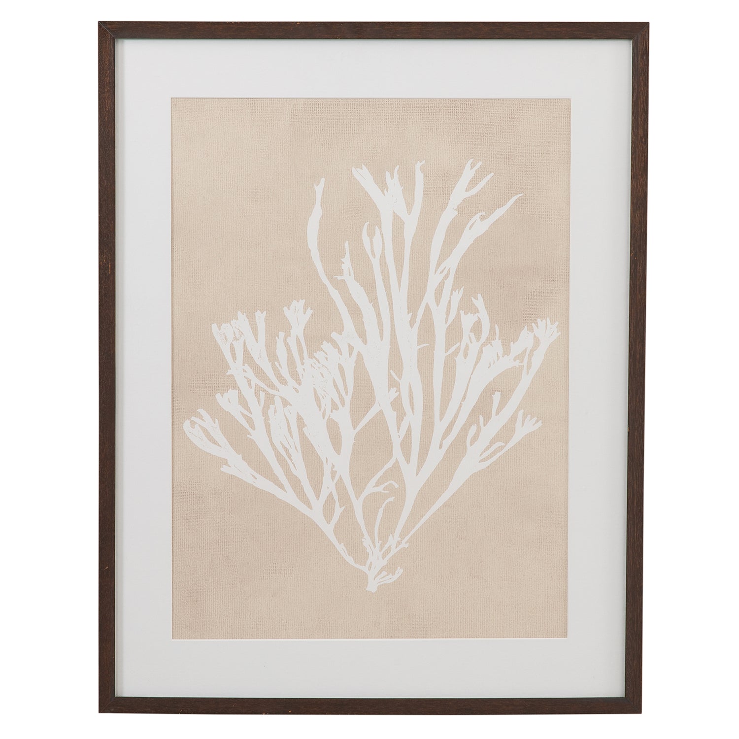 Bassett Mirror Marine Species Framed Artwork Set of 4