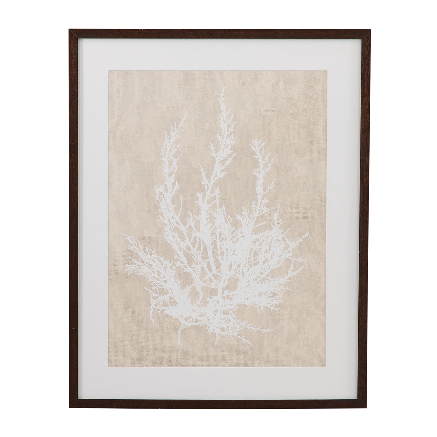 Bassett Mirror Cystoseira Ericoides Framed Artwork