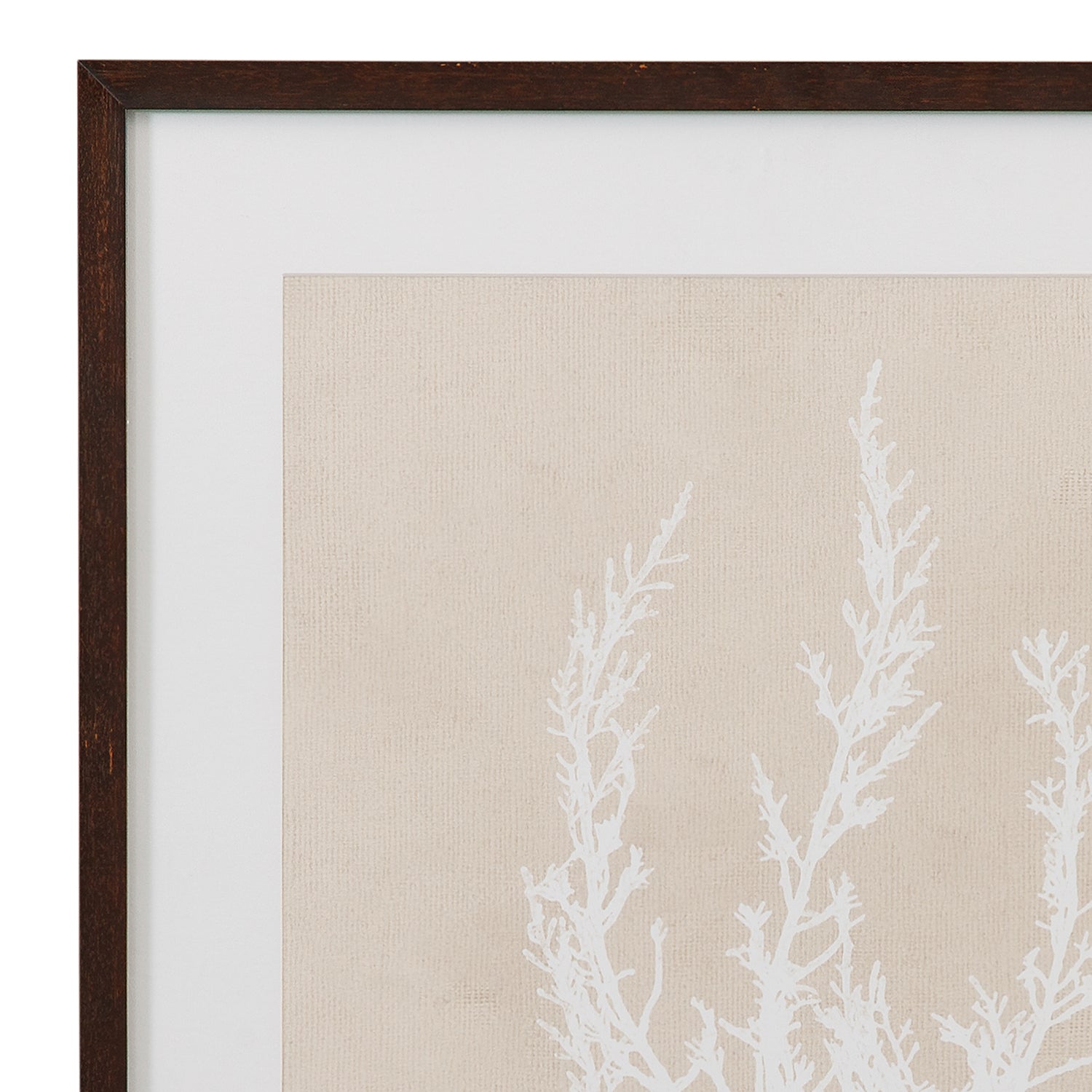 Bassett Mirror Marine Species Framed Artwork Set of 4