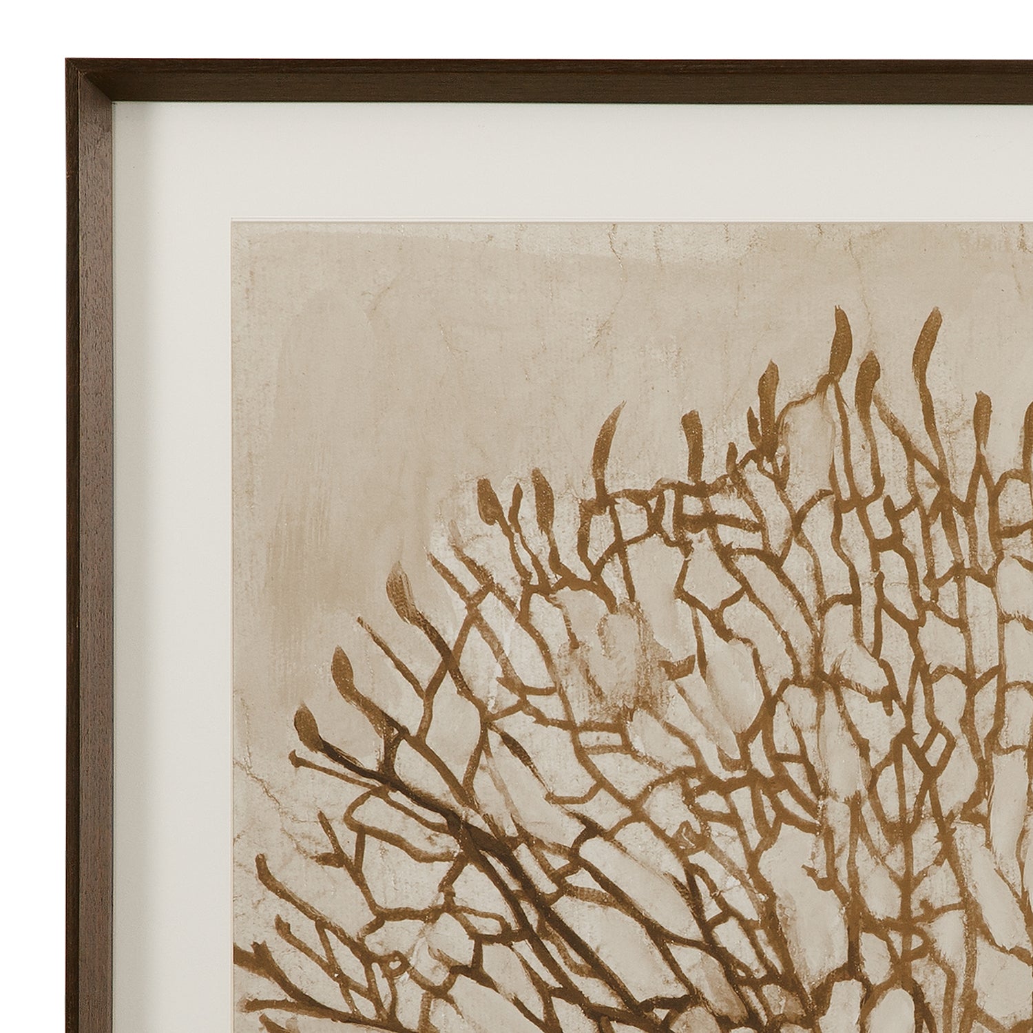 Bassett Mirror Neutral Seafan & Starfish Framed Artwork Set of 2