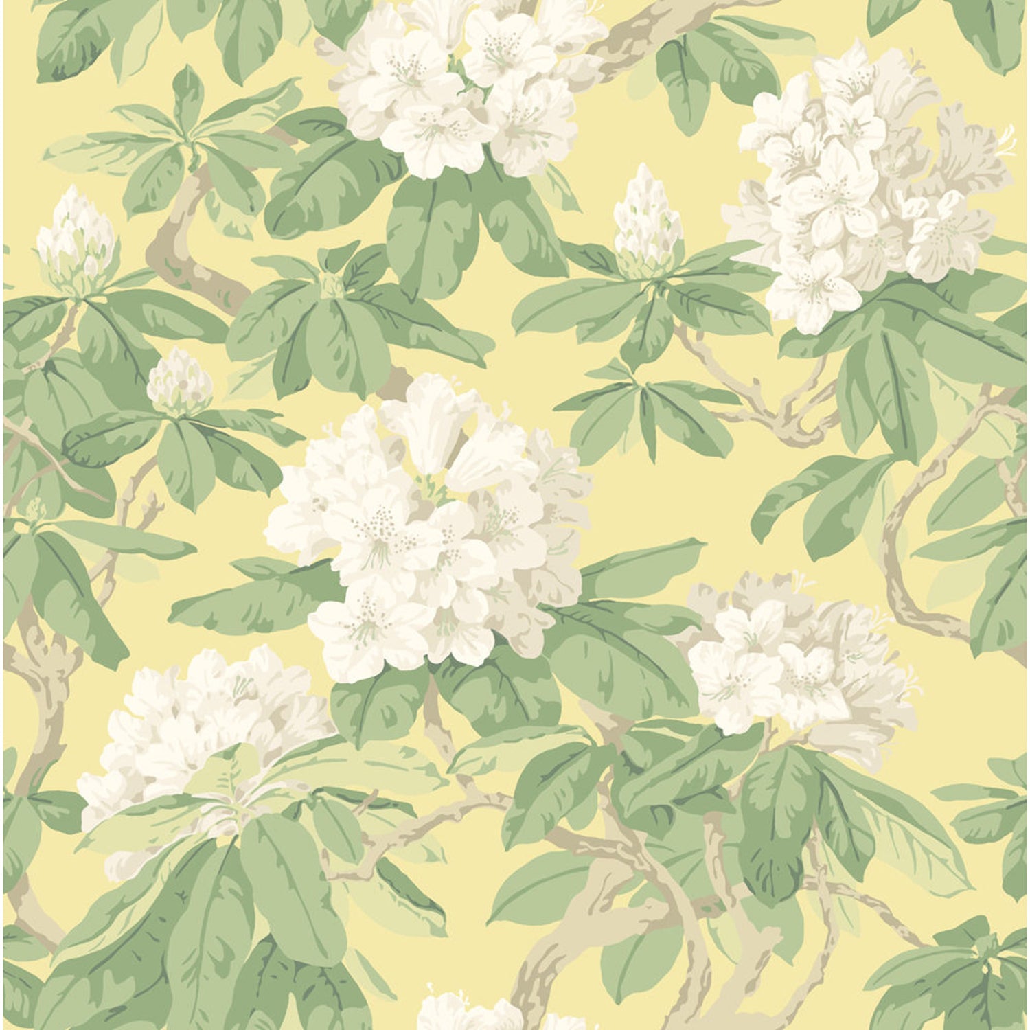 Cole & Son Bourlie Wallpaper
