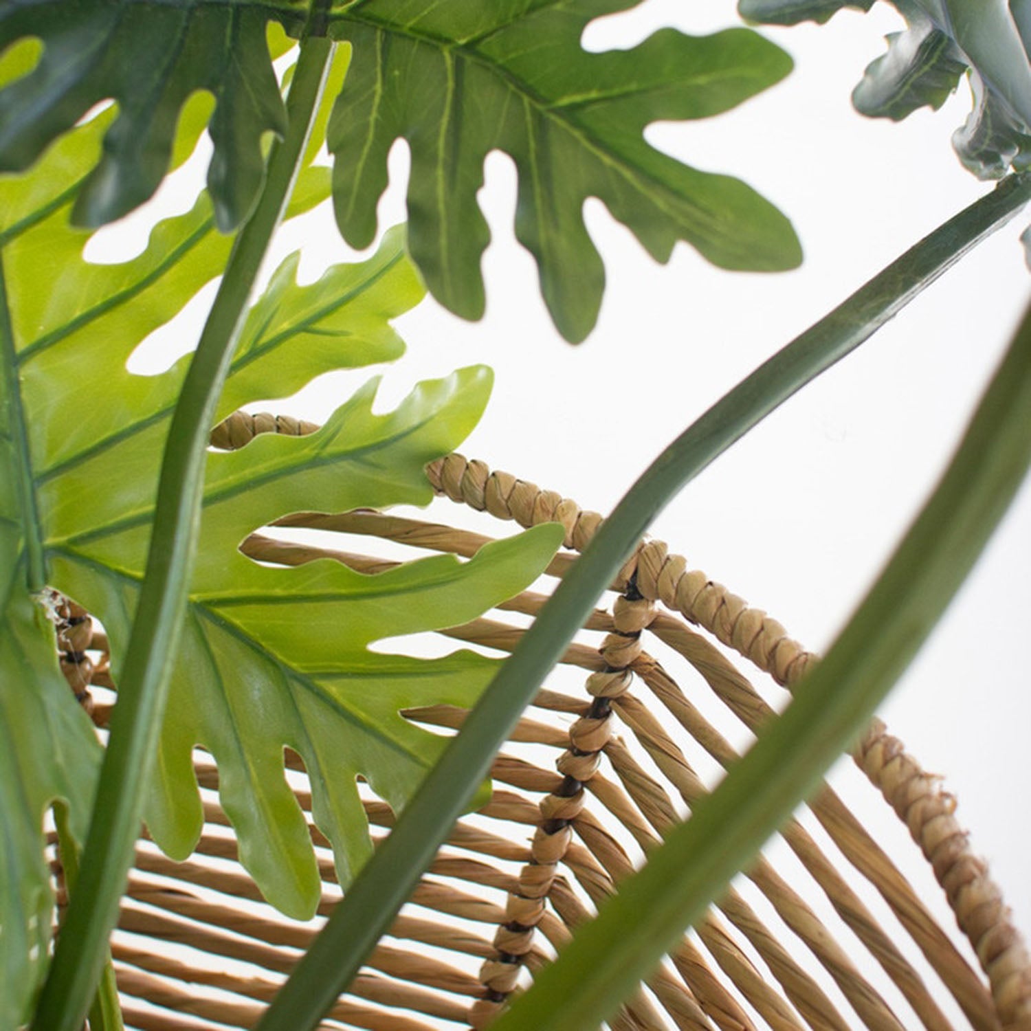 Iron and Seagrass Urn