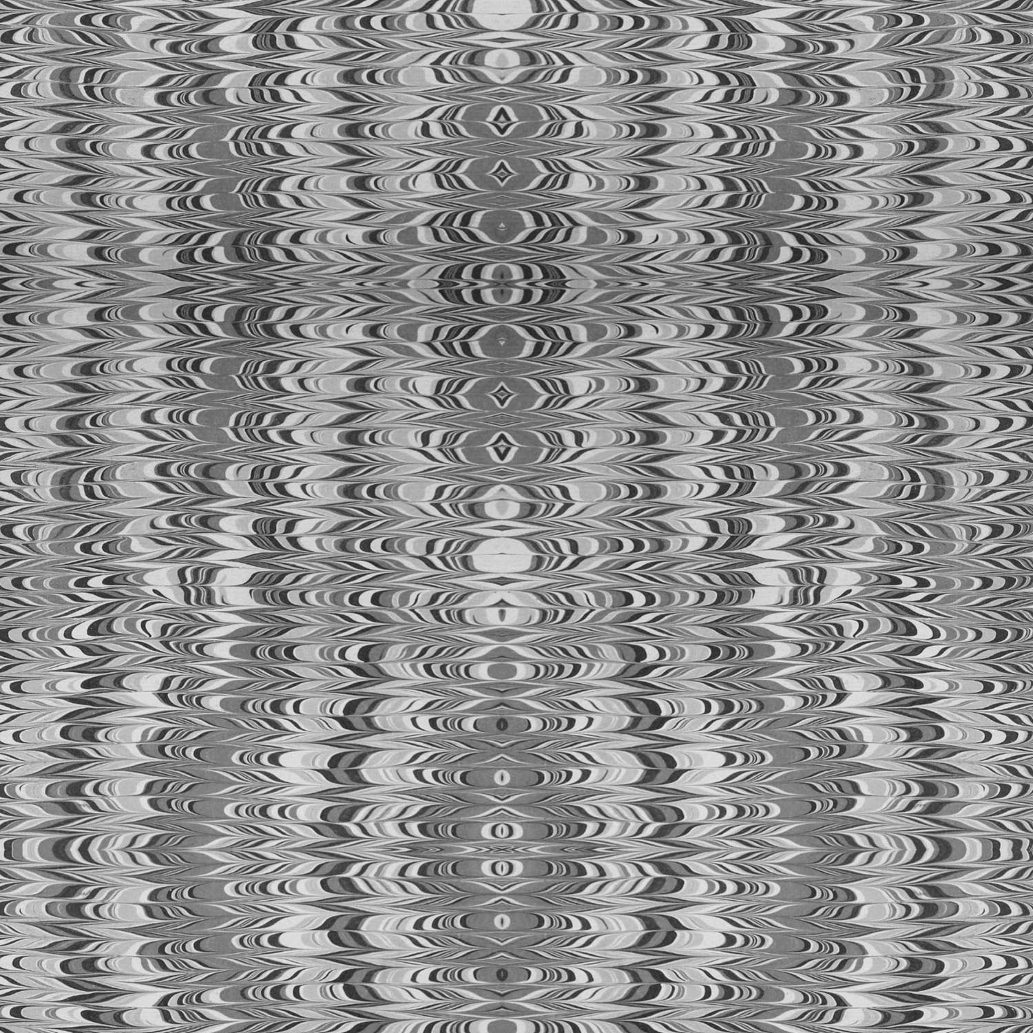 Mitchell Black Feather Wallpaper