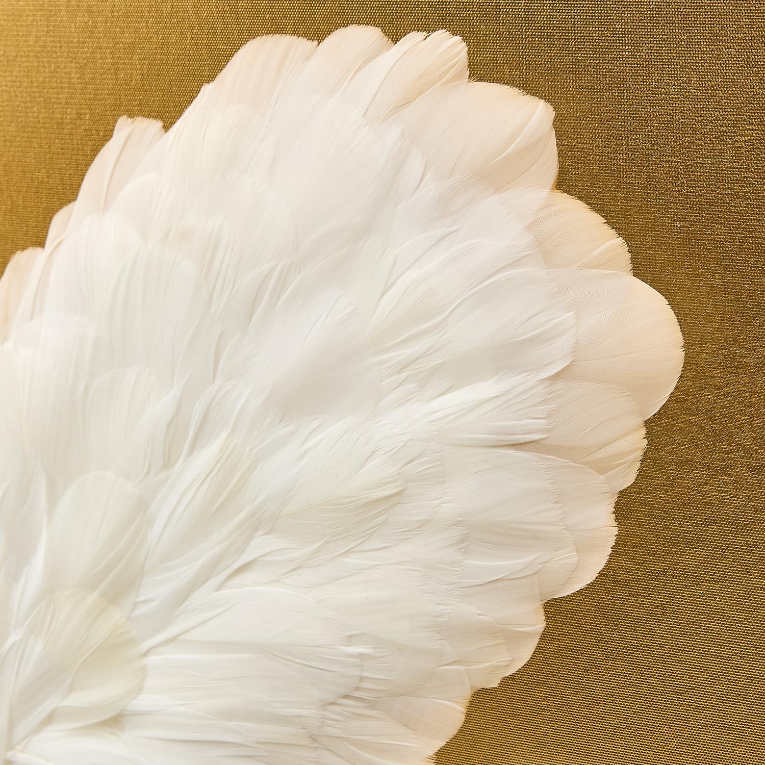 Butterfly Shadow Box Wall Art