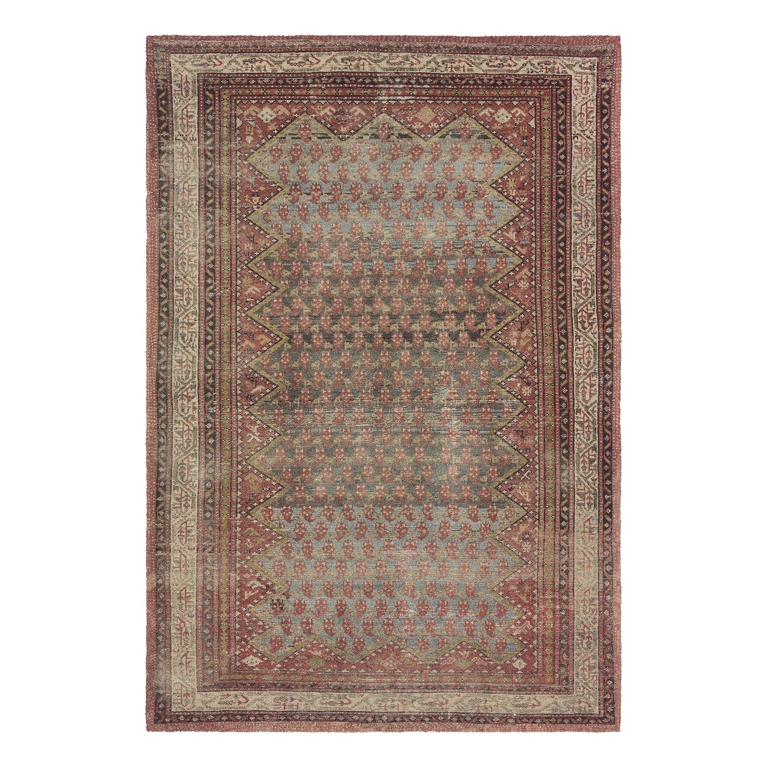 House Sprucing by Jaipur Living Amata Stellina Hand Tufted Rug