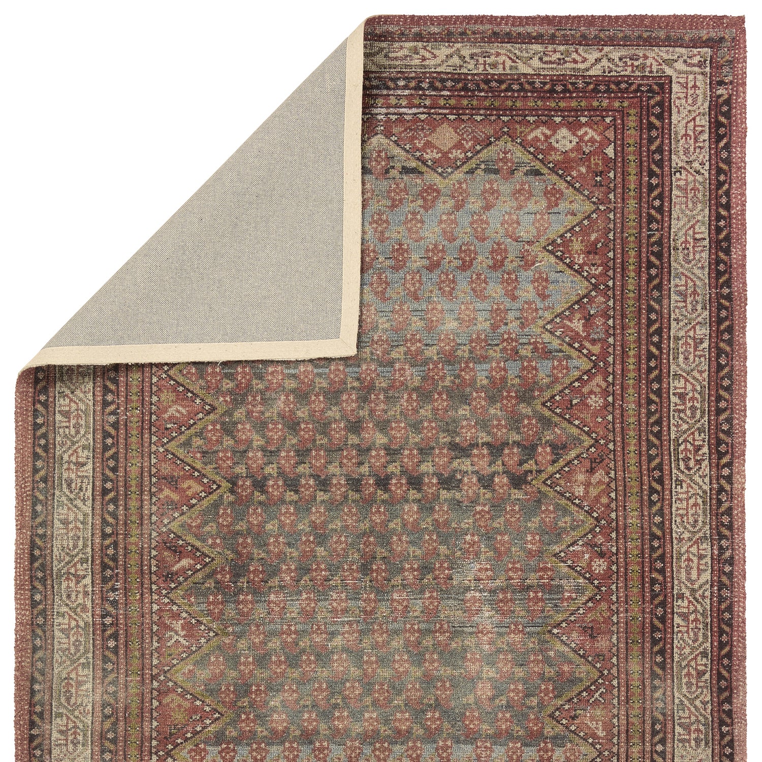 House Sprucing by Jaipur Living Amata Stellina Hand Tufted Rug